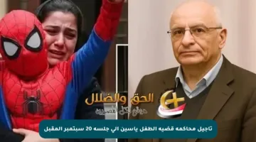 تأجيل محاكمة قضية الطفل ياسين إلى جلسة 20 سبتمبر المقبل